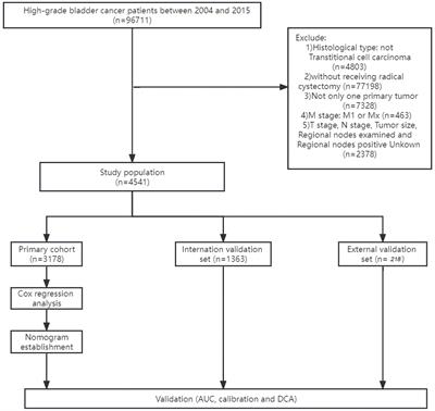 Survival nomogram for high-grade bladder cancer patients after surgery based on the SEER database and external validation cohort